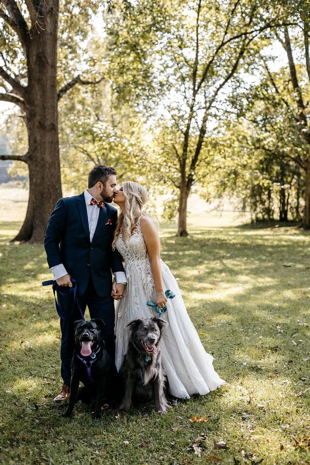 A bride and groom kissing on a sunlit lawn with their two large dogs sitting at their feet.
