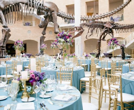The Fernbank Museum of Natural History, a wedding venue in Atlanta, Georgia.